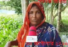 অসহায় আছিয়া বেগমের ৫০ শতাংশ জমি দখলের পাঁয়তারা, আতঙ্কে পরিবার